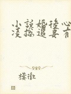 小说婚后心动:凌总追妻有点甜小说