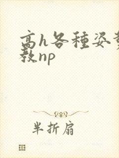 高h各种姿势调教np