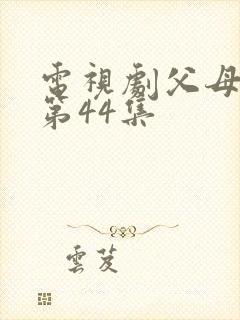 电视剧父母爱情第44集