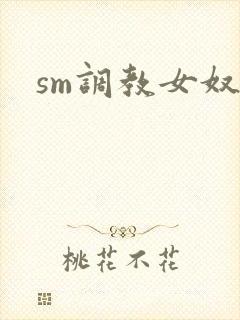 sm调教女奴文