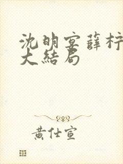 沈明宴薛柠林菀大结局