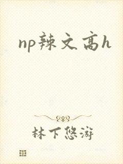 np辣文高h