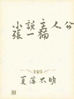 小说主人公陈安张一楠