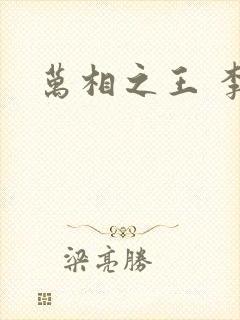 万相之王 李洛封面