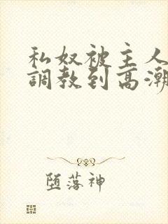 私奴被主人玩弄调教到高潮视频