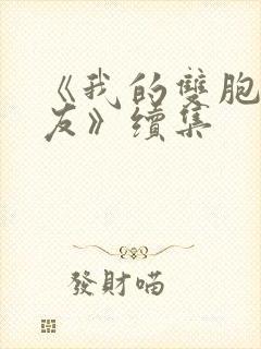 《我的双胞胎女友》续集封面