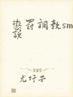 惩罚调教sm小说封面