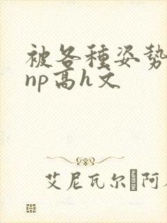 被各种姿势玩弄np高h文