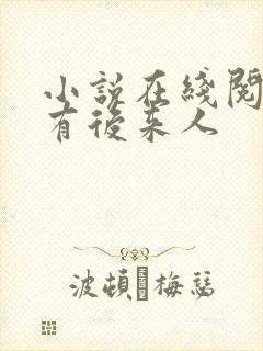小说在线阅读还有后来人