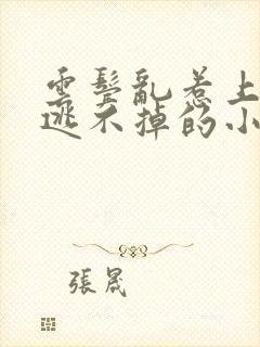 云鬓乱惹上权臣逃不掉的小说