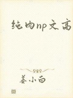 纯肉np文高h