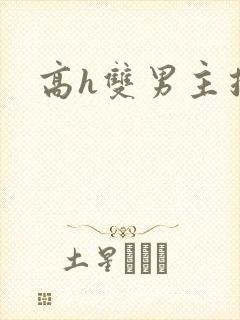 高h双男主推荐封面