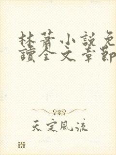 林萧小说免费阅读全文章节