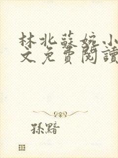 林北苏婉小说全文免费阅读无弹窗