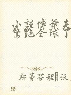 小说傅爷夫人又惊艳全球了