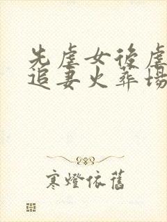 先虐女后虐男的追妻火葬场古言小说
