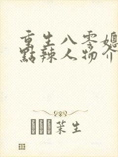 重生八零媳妇有点辣人物介绍