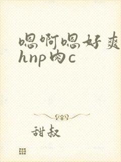 嗯啊嗯好爽啊高hnp肉c