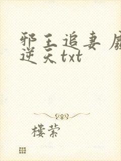 邪王追妻 废材逆天txt