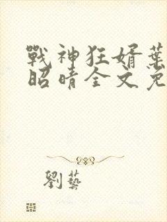 战神狂婿叶城柳昭晴全文免费阅读