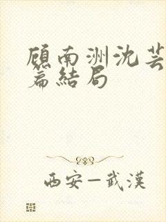 顾南洲沈芸番外篇结局封面