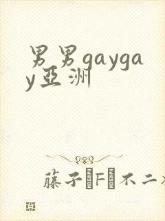 男男gaygay亚洲