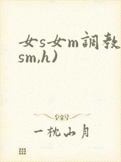 女s女m调教(sm,h)