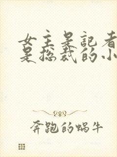 女主是记者男主是总裁的小说封面