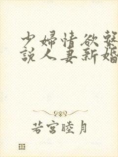 少妇情欲系列小说人妻新婚