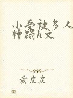 小受被多人强行糟蹋h文
