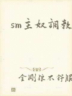 sm主奴调教文