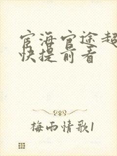 宦海官途超前超快提前看