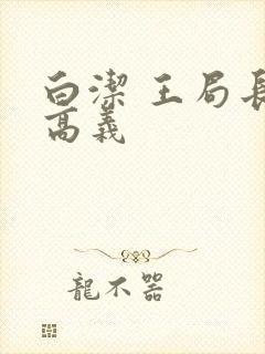 白洁 王局长 高义封面