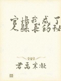 官场我成了大美人县长的秘书季风的小说