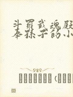 斗罗武魂殿二供奉孙子的小说