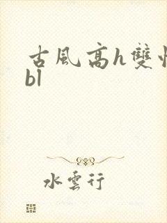 古风高h双性受bl