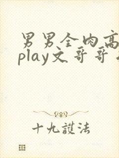 男男全肉高h湿play文哥哥弟弟