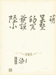 陆爷的呆萌甜妻小说完整