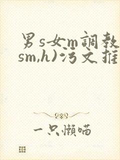 男s女m调教(sm,h)污文推荐