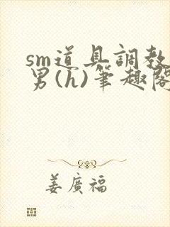 sm道具调教男男(h)笔趣阁封面