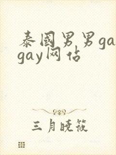 泰国男男gaygay网站