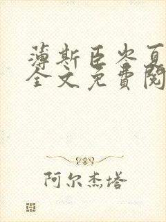 薄斯臣岑夏小说全文免费阅读封面