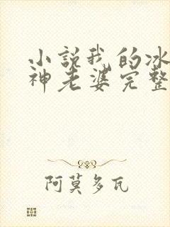 小说我的冰山女神老婆完整版封面