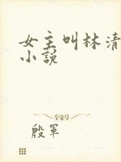 女主叫林清禾的小说