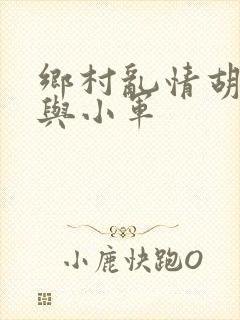 乡村乱情胡秀英与小军封面