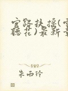 官路扶摇(雪路听花)最新章节免费阅读封面