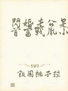 闪婚老公是千亿首富战胤小说最新