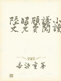 陆昭顾谦小说全文免费阅读