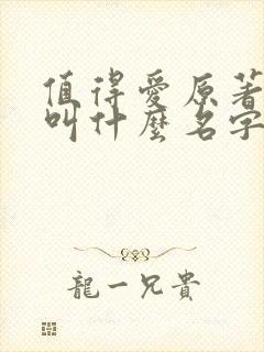 值得爱原著小说叫什么名字啊