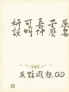 妍可长子原著小说叫什么名字封面